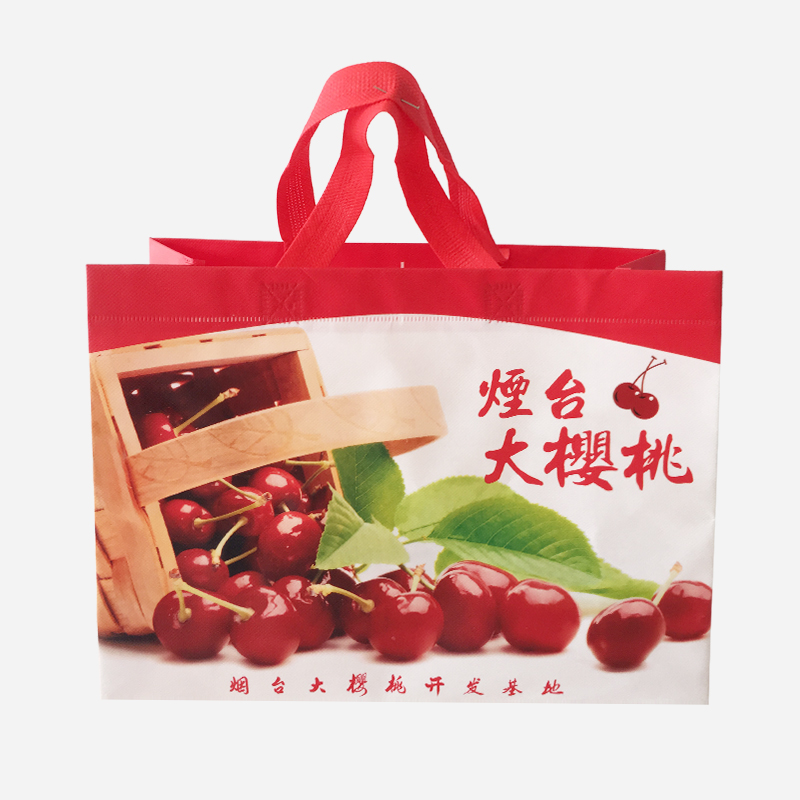 無紡布環保（bǎo）手提袋