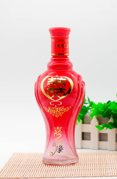 新款彩（cǎi）瓶-369
